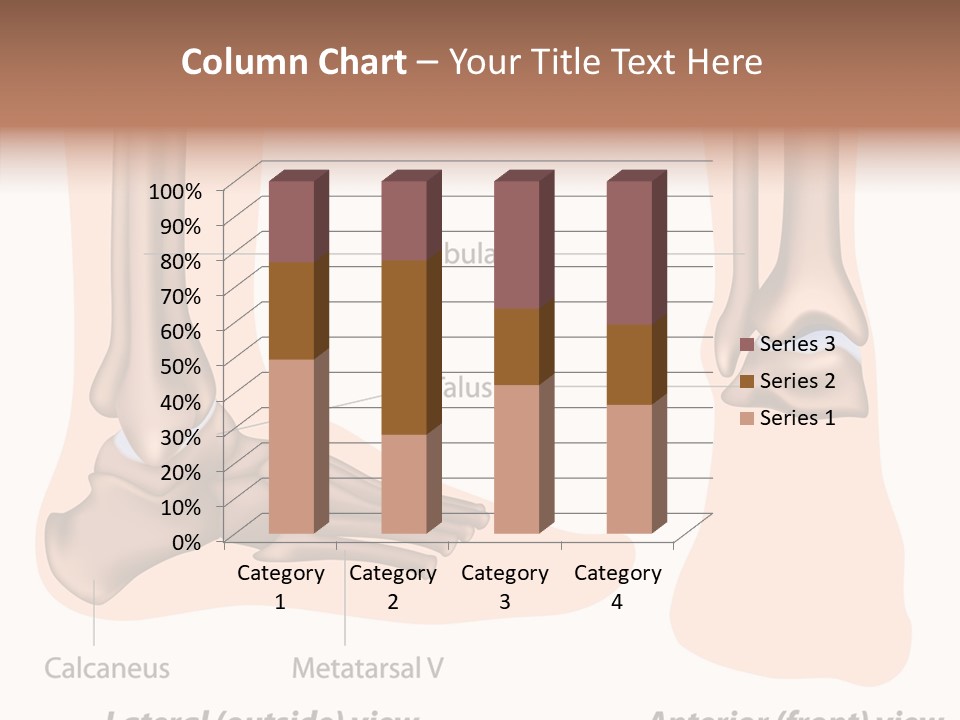 Healthy Anatomical Articular PowerPoint Template