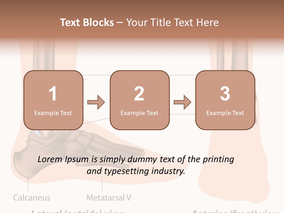 Healthy Anatomical Articular PowerPoint Template