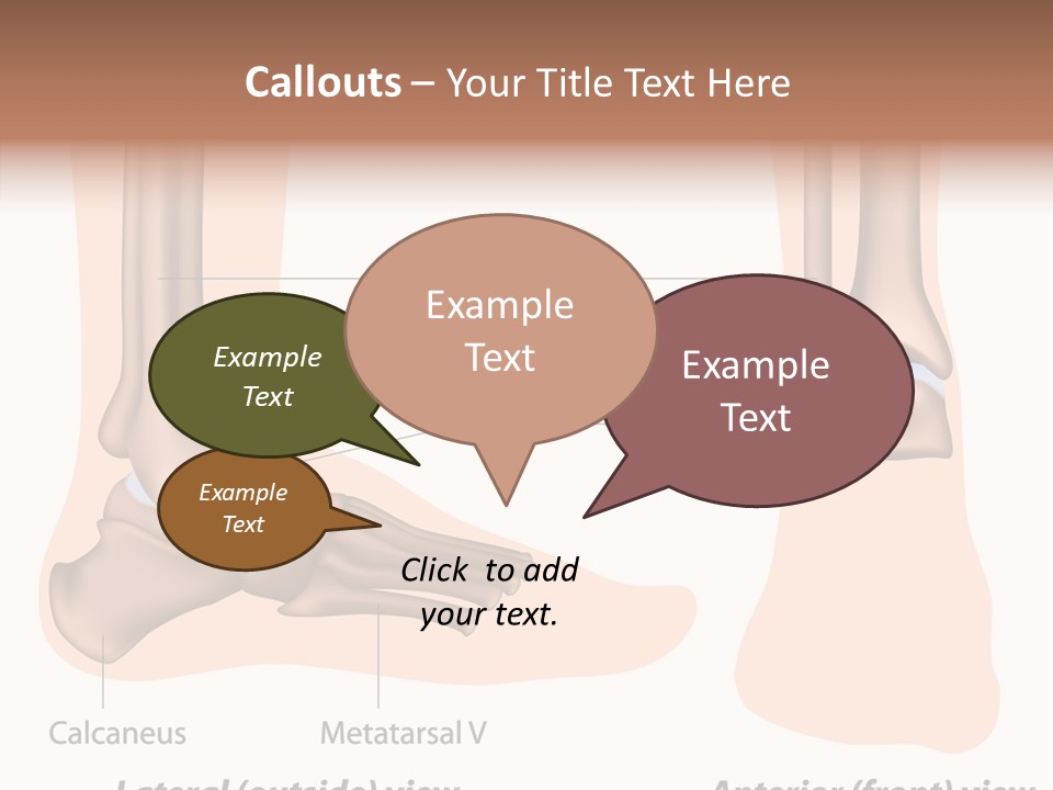 Healthy Anatomical Articular PowerPoint Template