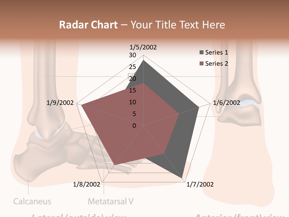 Healthy Anatomical Articular PowerPoint Template