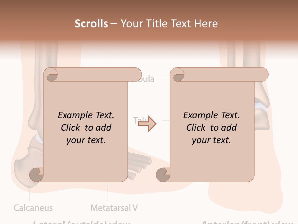 Healthy Anatomical Articular PowerPoint Template