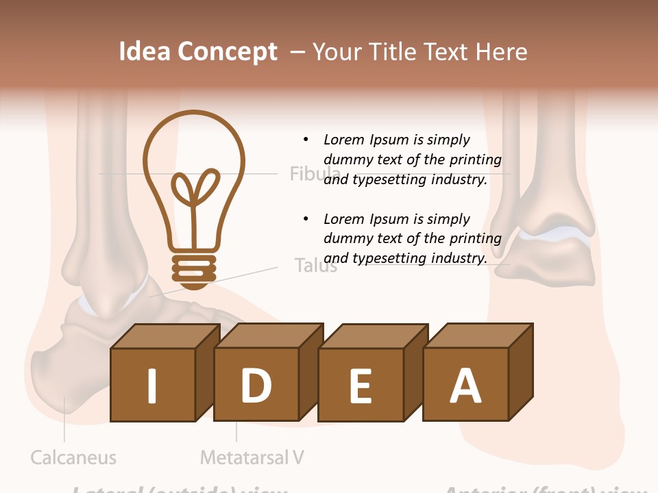Healthy Anatomical Articular PowerPoint Template