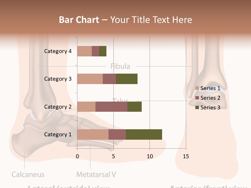 Healthy Anatomical Articular PowerPoint Template