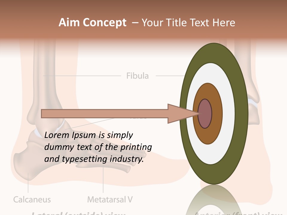 Healthy Anatomical Articular PowerPoint Template