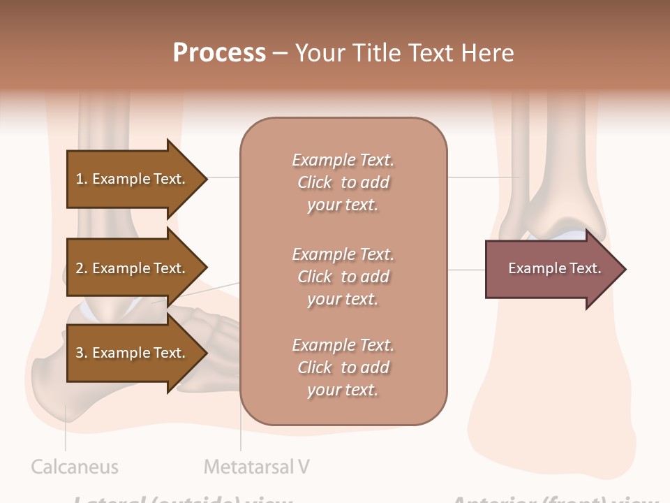 Healthy Anatomical Articular PowerPoint Template