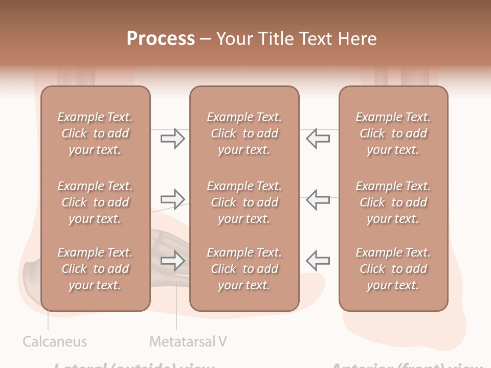 Healthy Anatomical Articular PowerPoint Template
