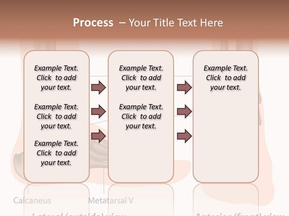 Healthy Anatomical Articular PowerPoint Template