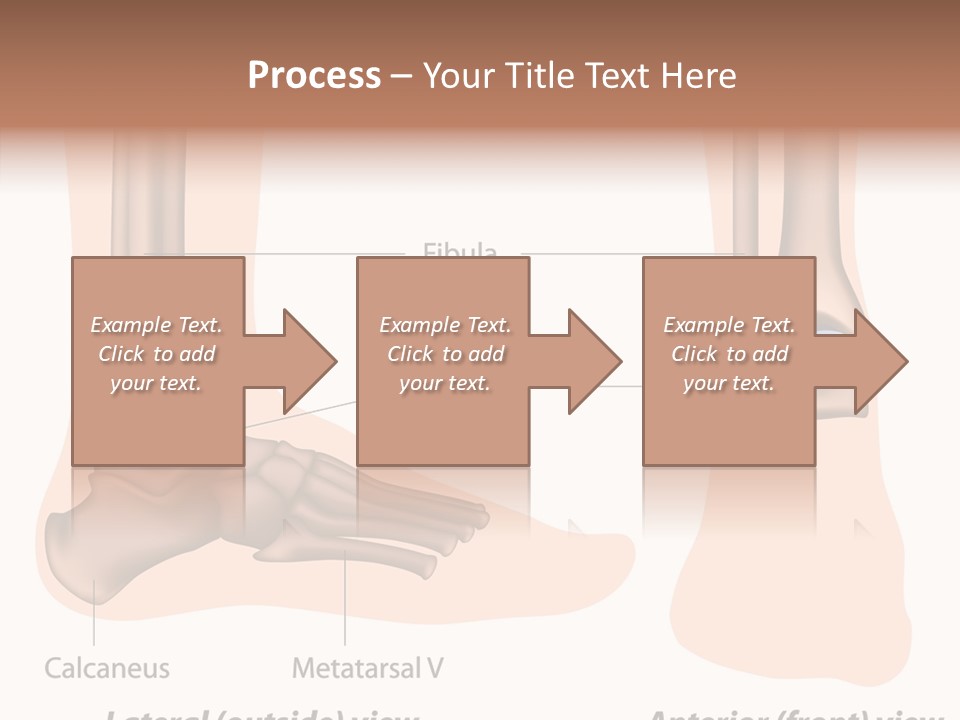 Healthy Anatomical Articular PowerPoint Template