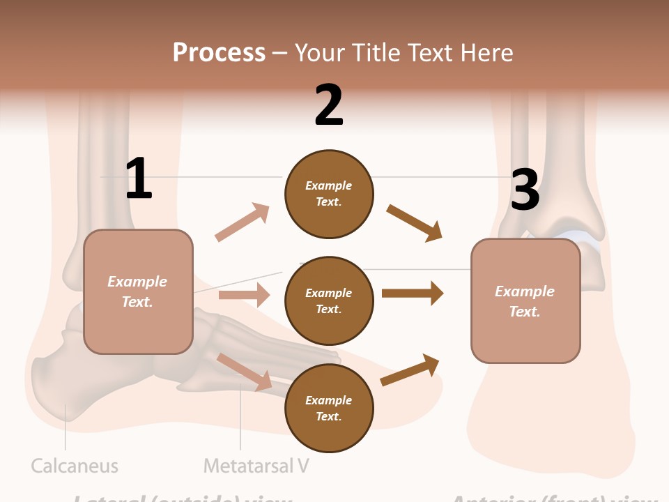 Healthy Anatomical Articular PowerPoint Template