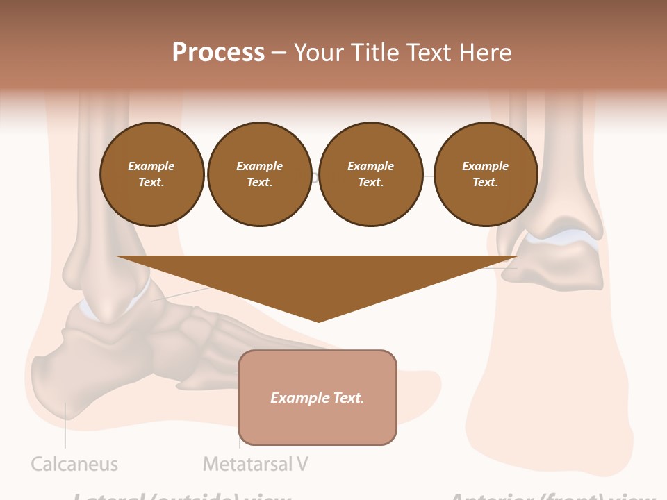 Healthy Anatomical Articular PowerPoint Template