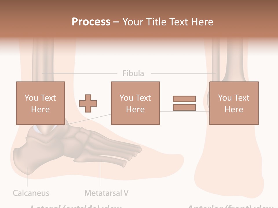 Healthy Anatomical Articular PowerPoint Template
