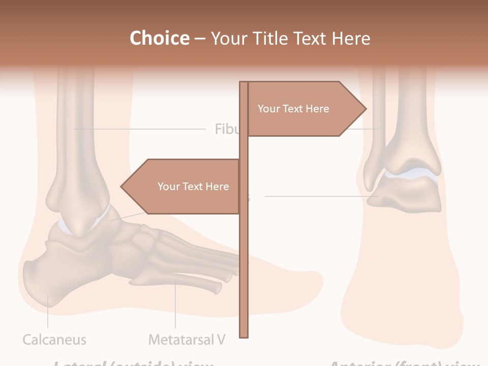 Healthy Anatomical Articular PowerPoint Template