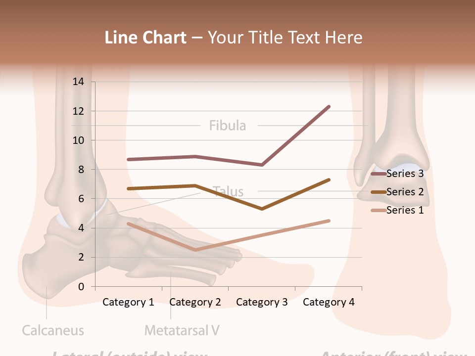Healthy Anatomical Articular PowerPoint Template
