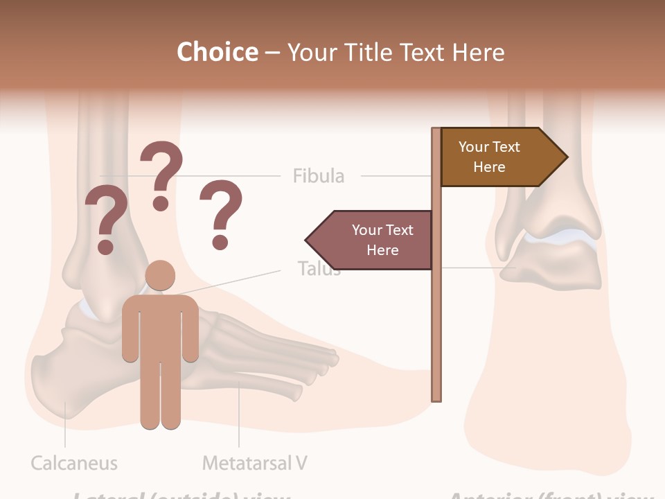 Healthy Anatomical Articular PowerPoint Template