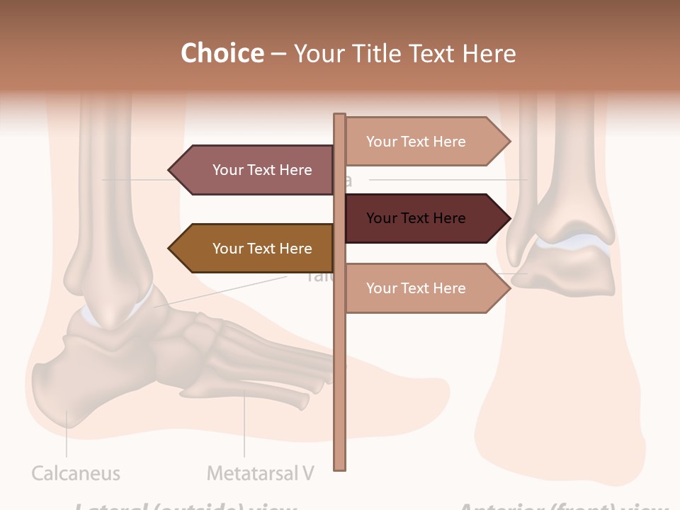 Healthy Anatomical Articular PowerPoint Template