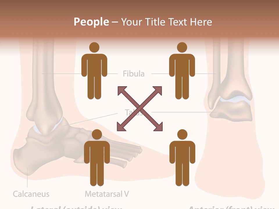 Healthy Anatomical Articular PowerPoint Template