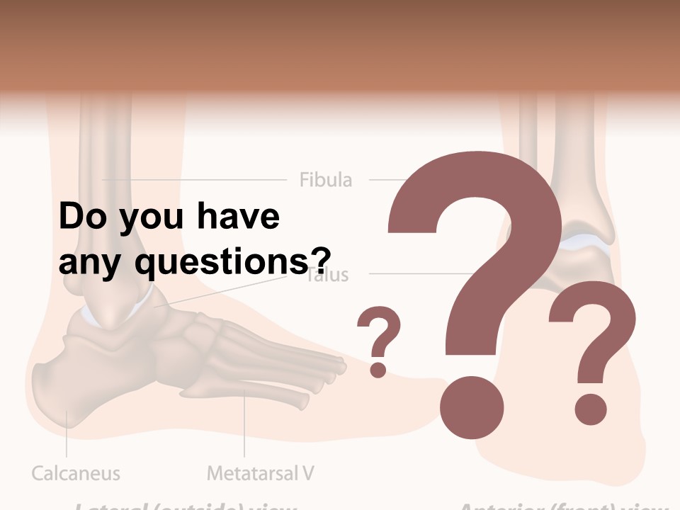 Healthy Anatomical Articular PowerPoint Template