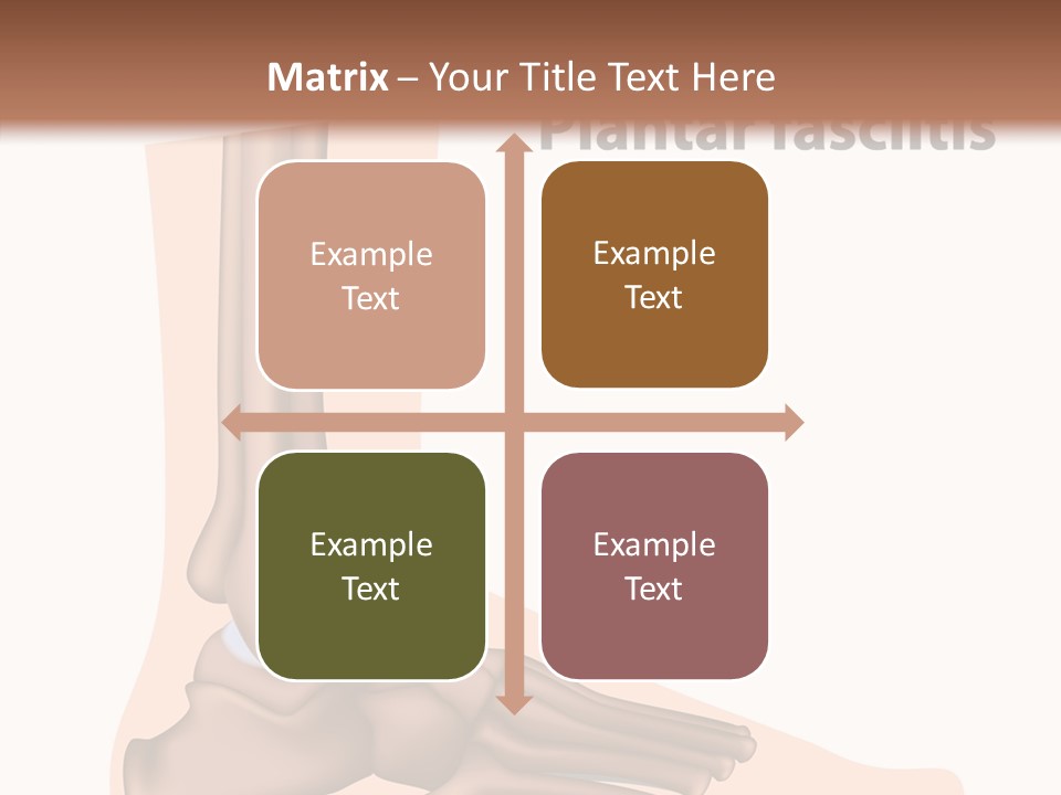 Problem Fibula Ankle PowerPoint Template