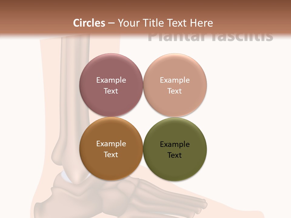 Problem Fibula Ankle PowerPoint Template