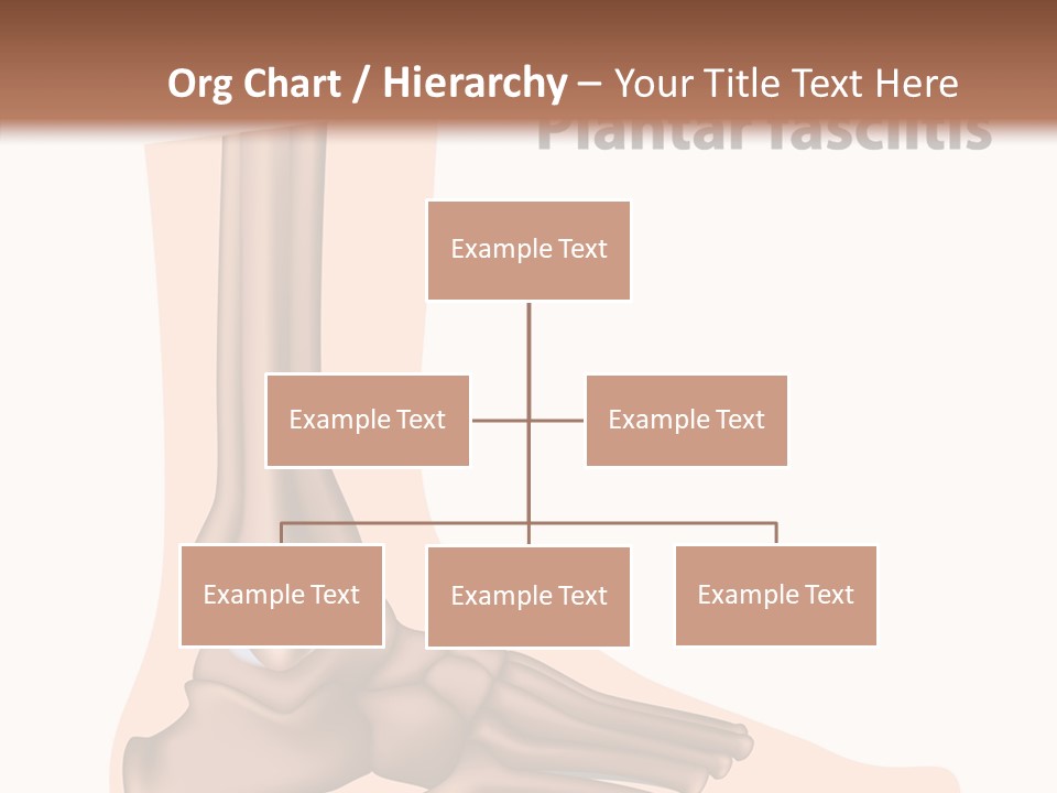 Problem Fibula Ankle PowerPoint Template