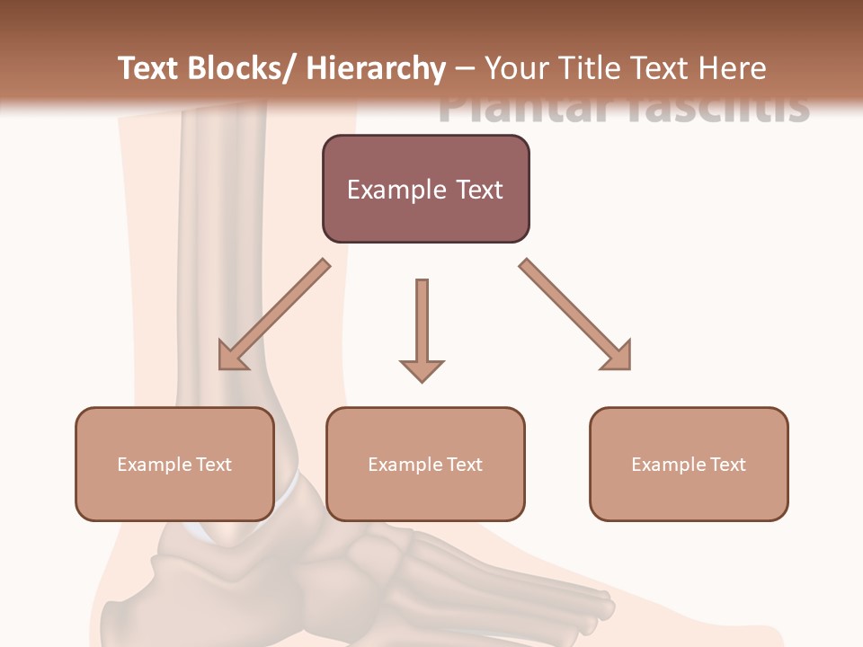 Problem Fibula Ankle PowerPoint Template