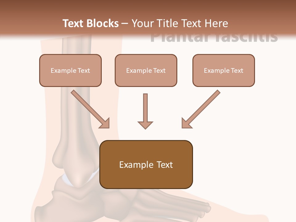 Problem Fibula Ankle PowerPoint Template