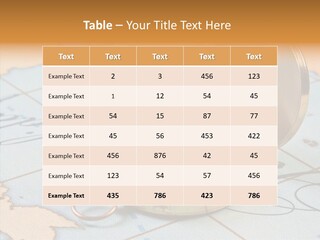 Map Pilot Travel PowerPoint Template