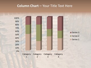 Ocean View Beach Winter Dune Grass PowerPoint Template