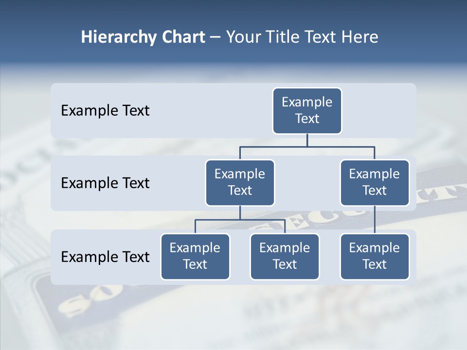 Security Immigration Financial PowerPoint Template
