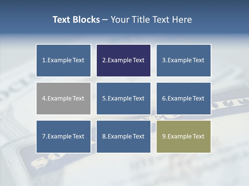 Security Immigration Financial PowerPoint Template