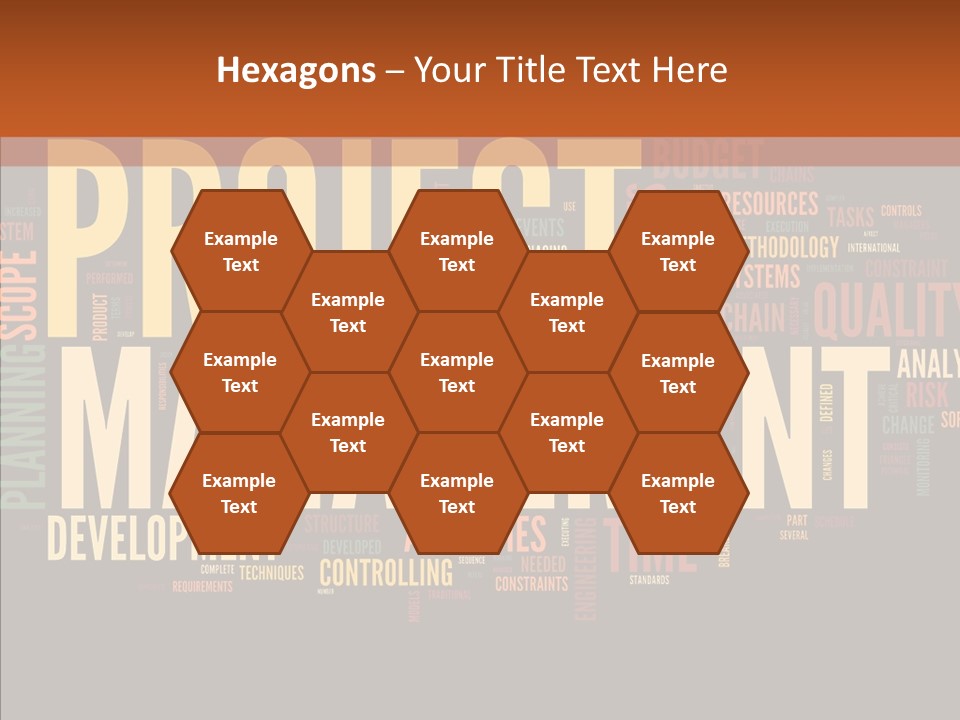 A Word Cloud With The Words Project Management Written In It PowerPoint Template