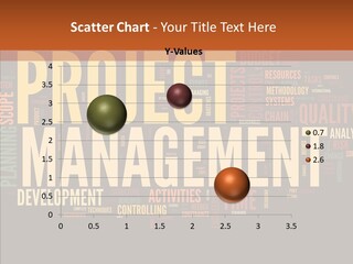 A Word Cloud With The Words Project Management Written In It PowerPoint Template