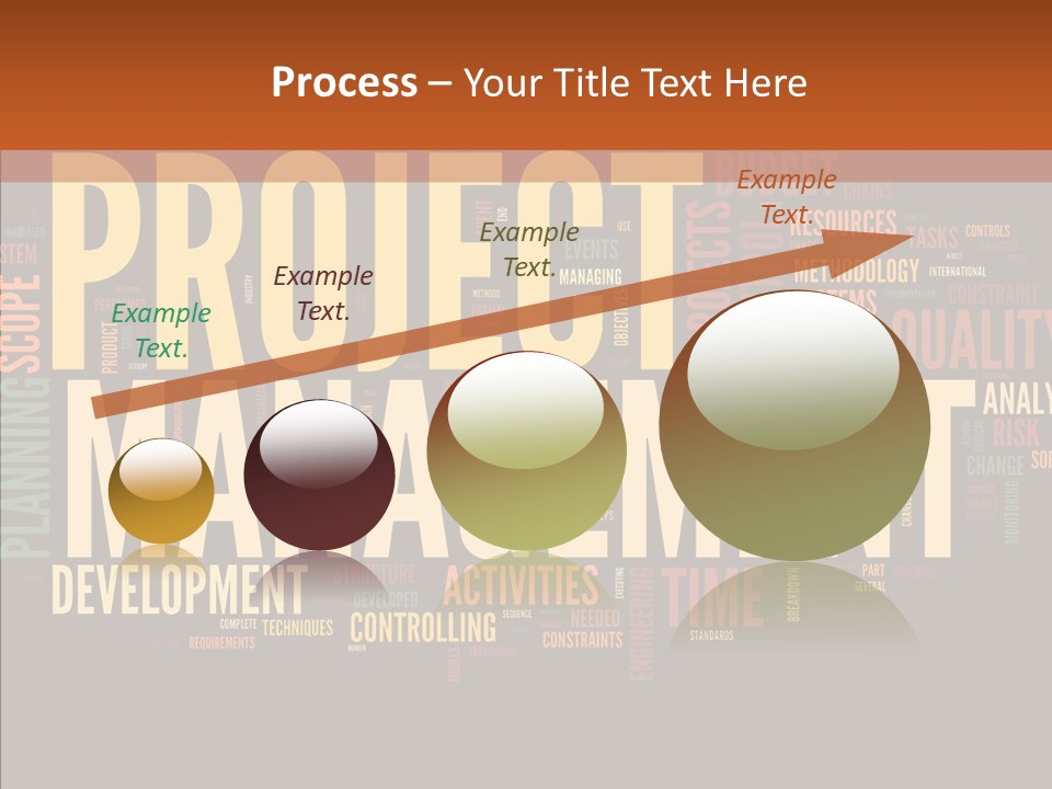 A Word Cloud With The Words Project Management Written In It PowerPoint Template