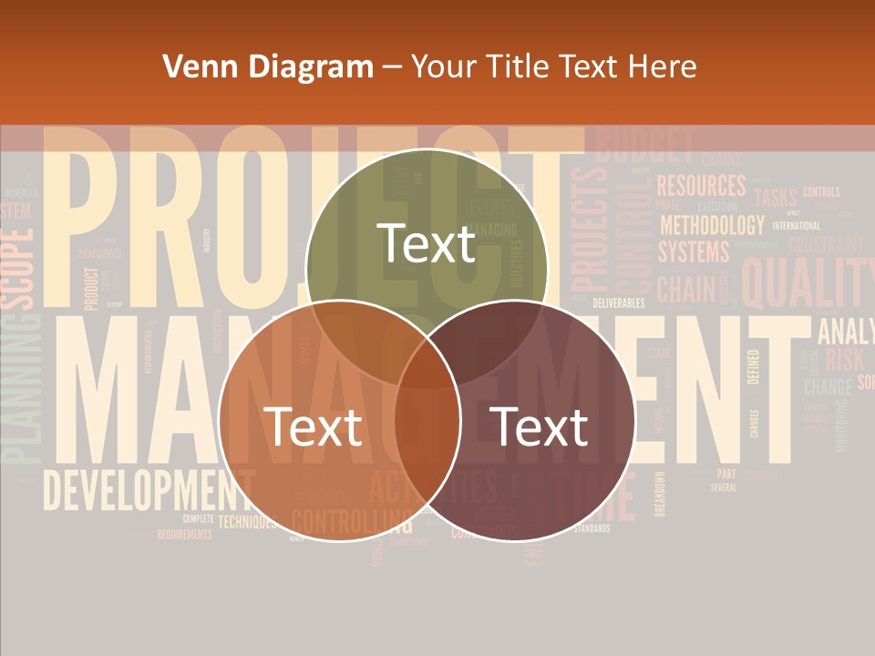A Word Cloud With The Words Project Management Written In It PowerPoint Template