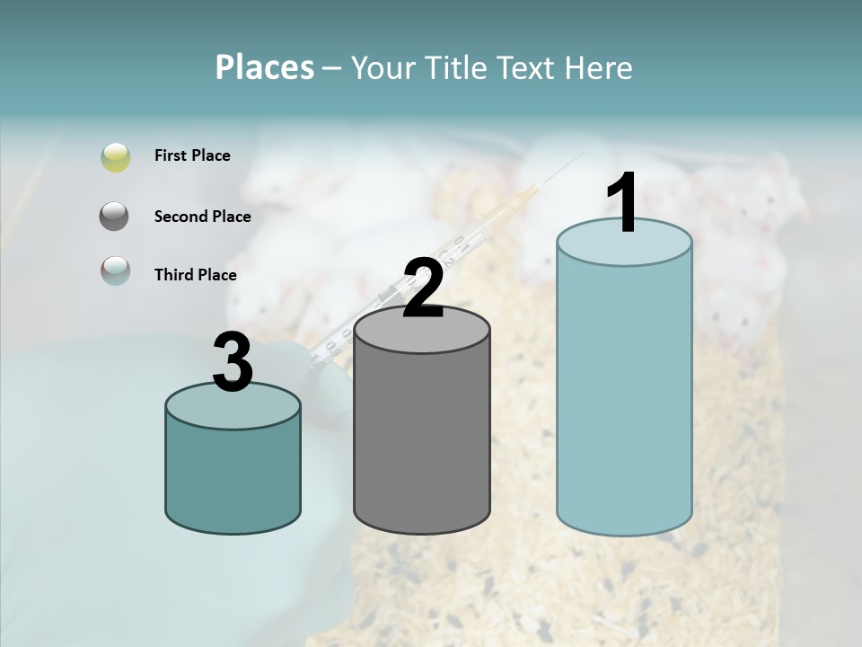 A Person In A Blue Glove Is Holding A Syil PowerPoint Template