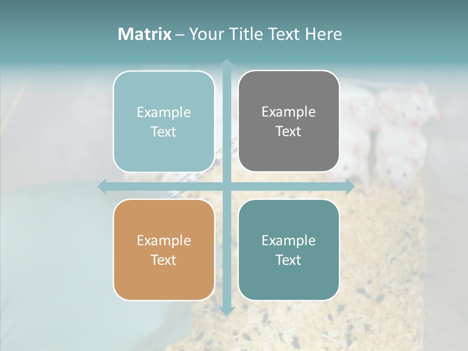 A Person In A Blue Glove Is Holding A Syil PowerPoint Template