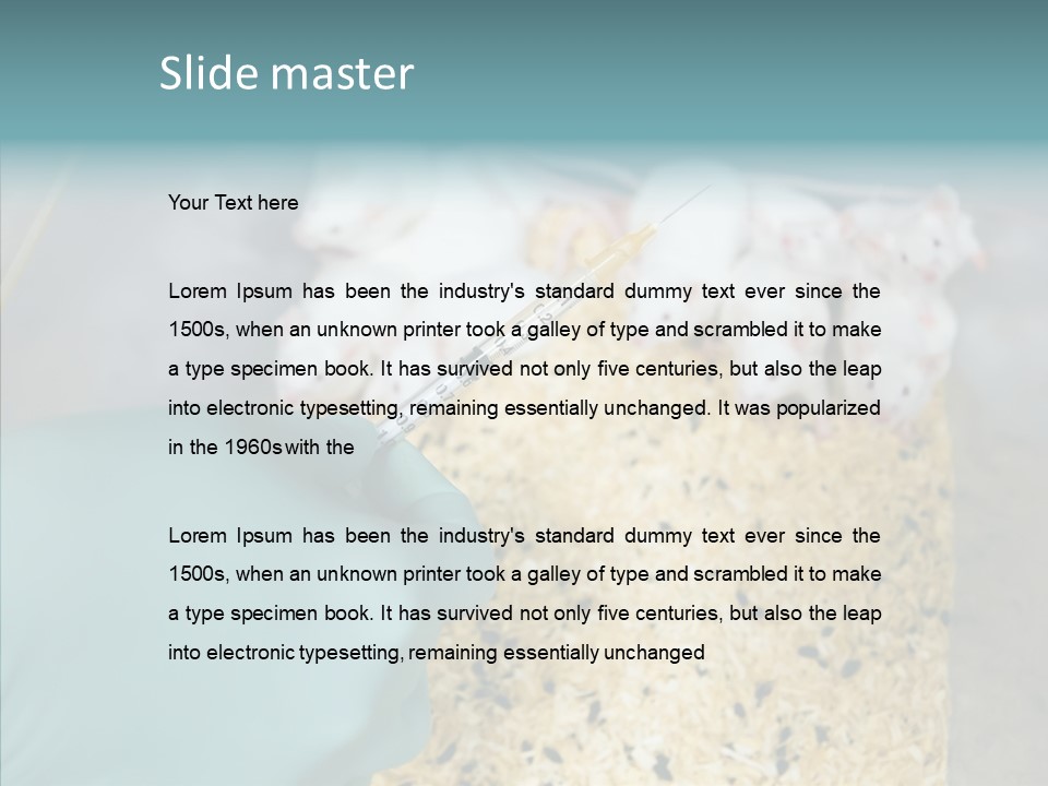 A Person In A Blue Glove Is Holding A Syil PowerPoint Template