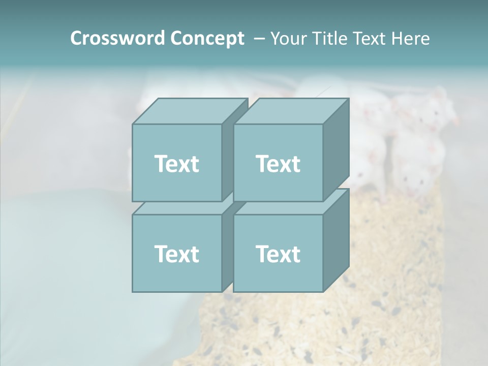 A Person In A Blue Glove Is Holding A Syil PowerPoint Template