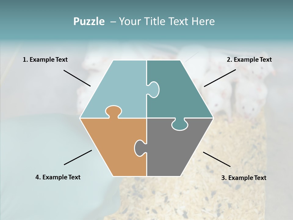 A Person In A Blue Glove Is Holding A Syil PowerPoint Template