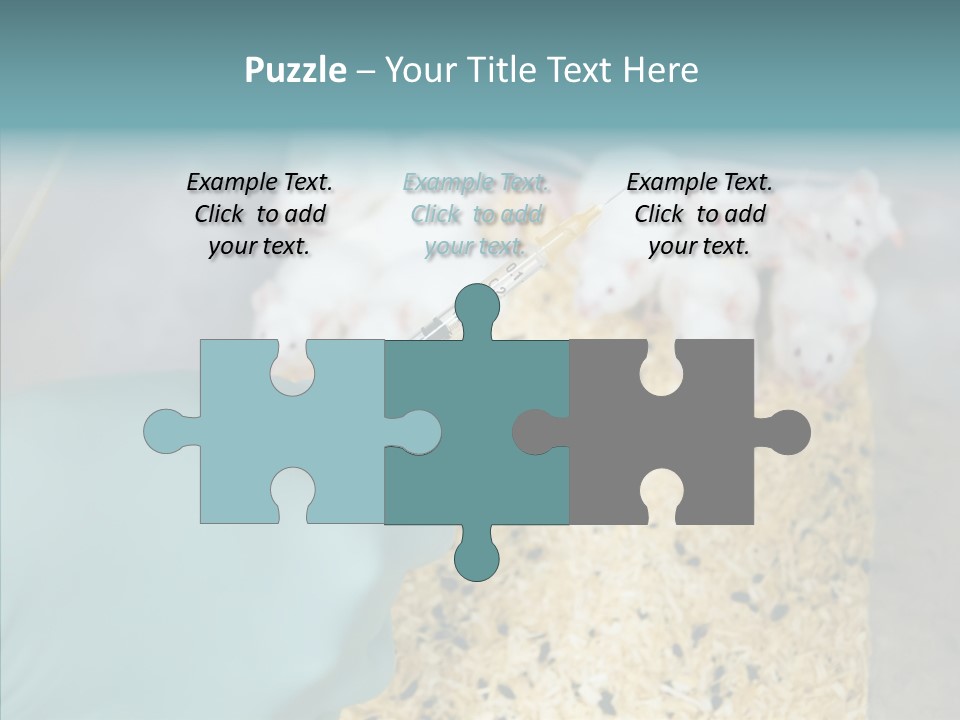 A Person In A Blue Glove Is Holding A Syil PowerPoint Template