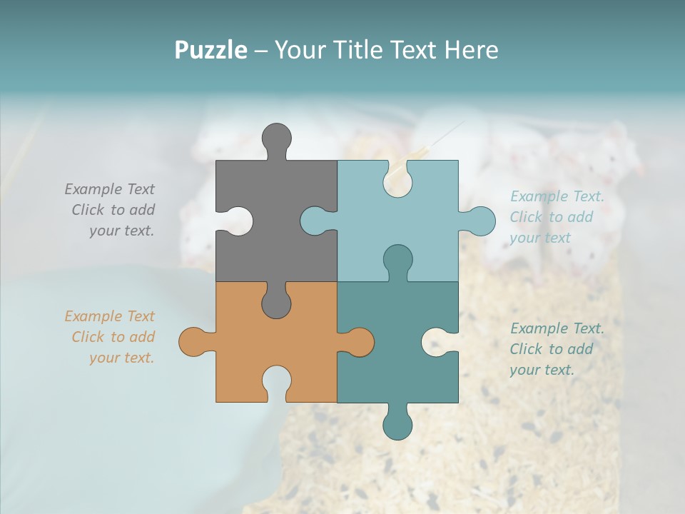 A Person In A Blue Glove Is Holding A Syil PowerPoint Template