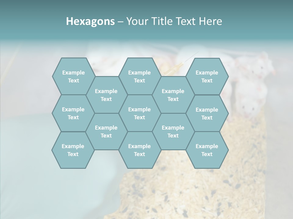 A Person In A Blue Glove Is Holding A Syil PowerPoint Template