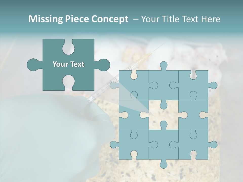 A Person In A Blue Glove Is Holding A Syil PowerPoint Template