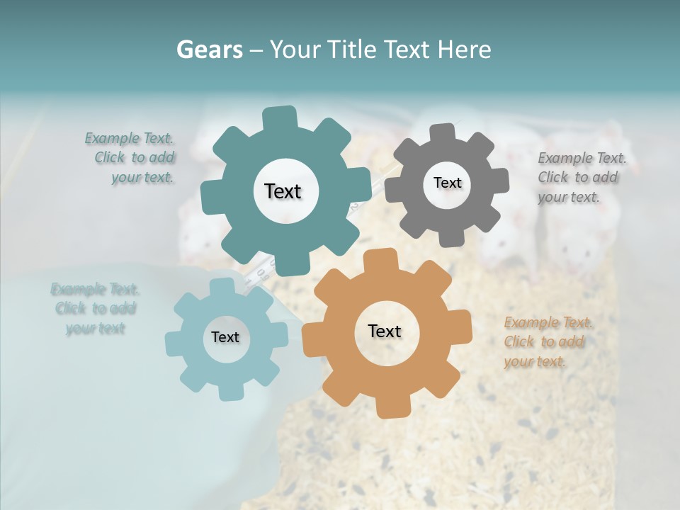 A Person In A Blue Glove Is Holding A Syil PowerPoint Template