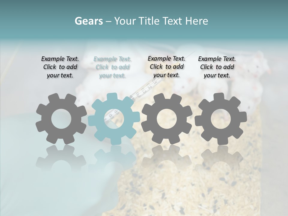 A Person In A Blue Glove Is Holding A Syil PowerPoint Template