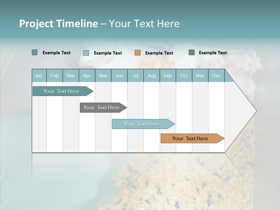 A Person In A Blue Glove Is Holding A Syil PowerPoint Template