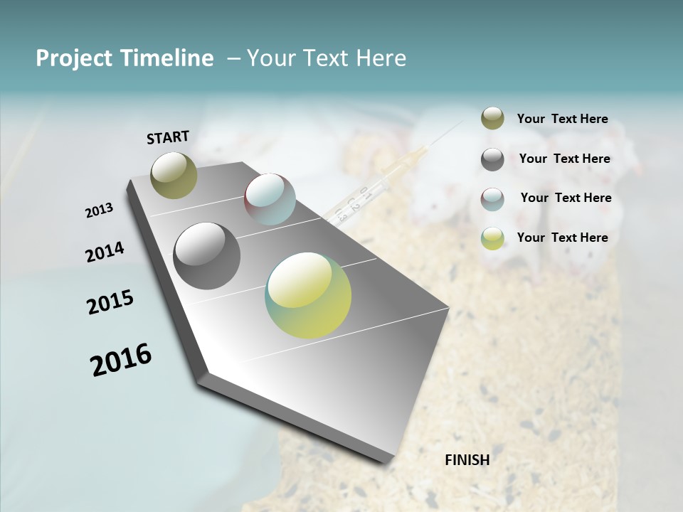 A Person In A Blue Glove Is Holding A Syil PowerPoint Template