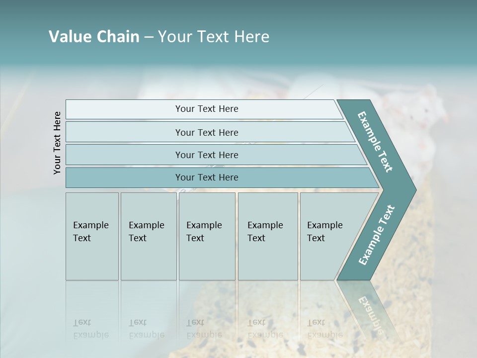 A Person In A Blue Glove Is Holding A Syil PowerPoint Template