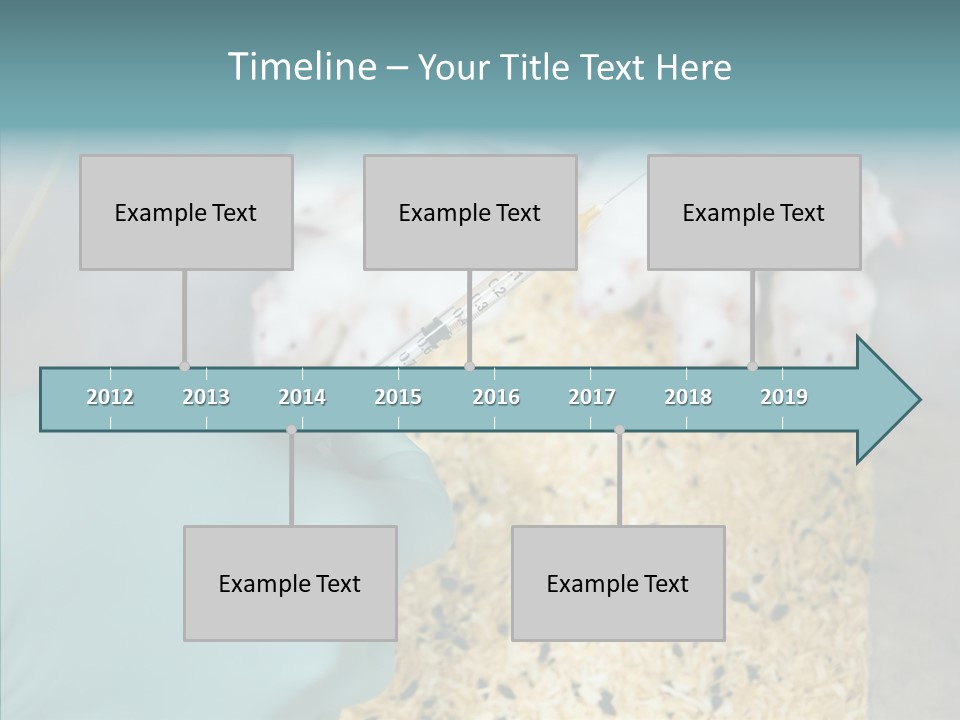 A Person In A Blue Glove Is Holding A Syil PowerPoint Template