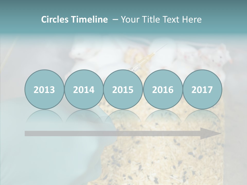 A Person In A Blue Glove Is Holding A Syil PowerPoint Template